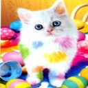 Gatitos 7